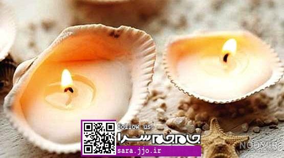 عکس صدف دریا