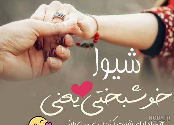 عکس نوشته شیوا دوست دارم