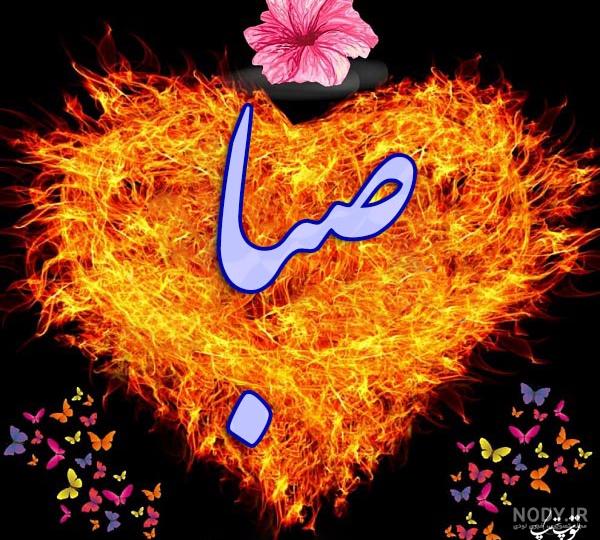عکس گل صباح عکس گل صباح