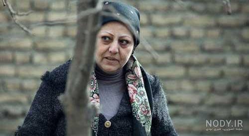 فرزانه داوری پرواز در قفس