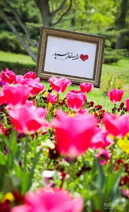 عکس استوری خداروشکر عکس استوری خداروشکر