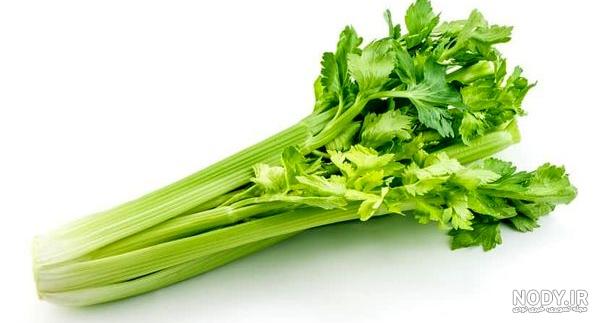 خواص کرفس برای پوست خواص کرفس برای پوست