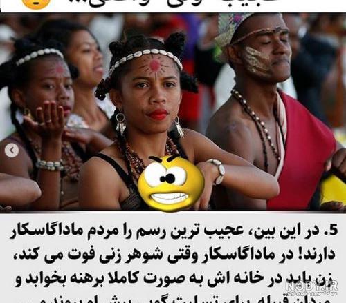 عکس های جالب و عجیب از حیوانات