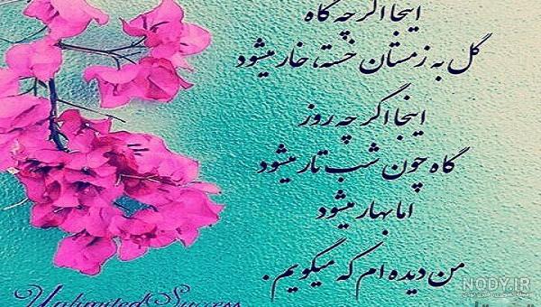 بهار من تویی عشقم بهار من تویی عشقم