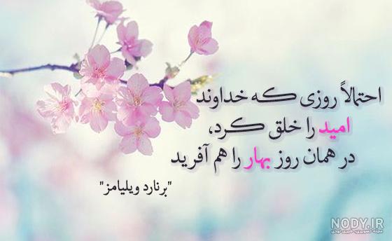 عکس شکوفه بهاری برای پروفایل عکس شکوفه بهاری برای پروفایل