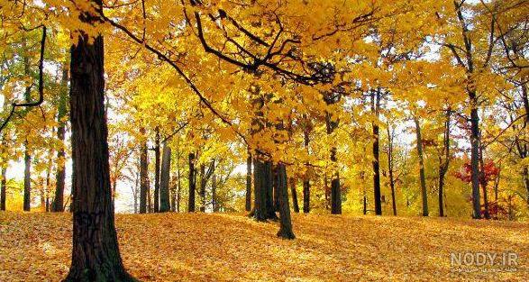 عکس هوای بارانی عکس هوای بارانی