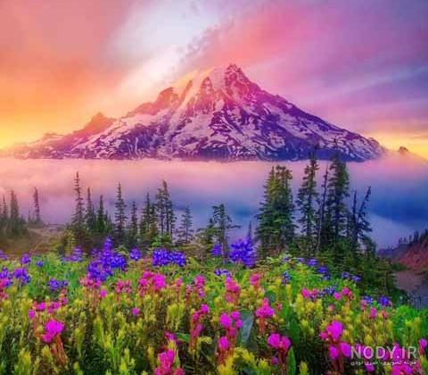 متن دنیای من تویی متن دنیای من تویی