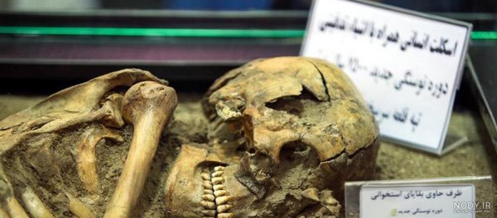 بزرگترین انسان های تاریخ جهان بزرگترین انسان های تاریخ جهان