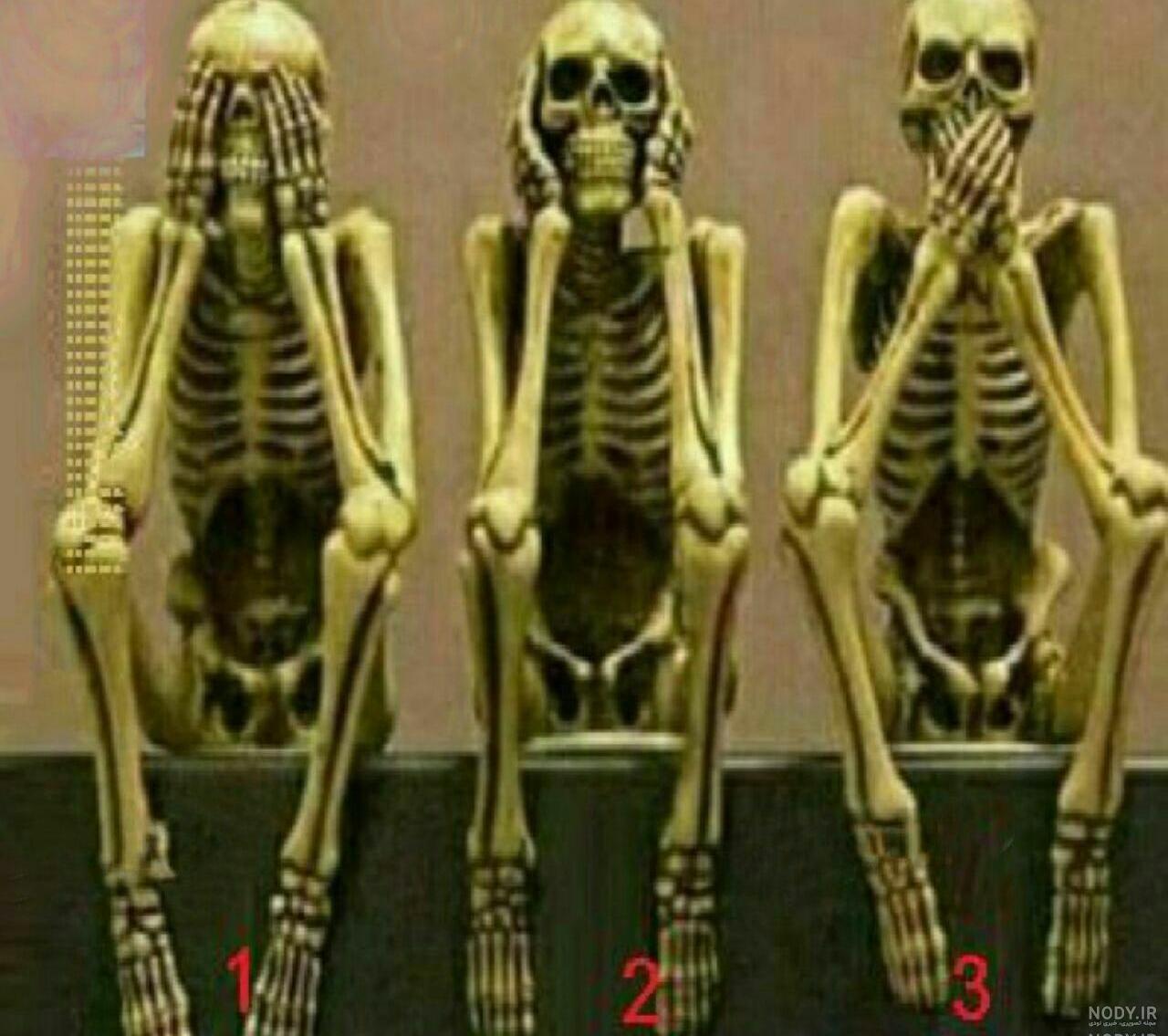 تاتو اسکلت ماهی