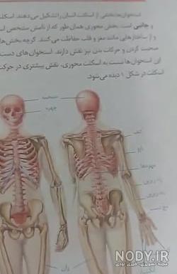حفره لگن