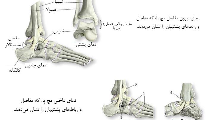 درمان ترک استخوان پا
