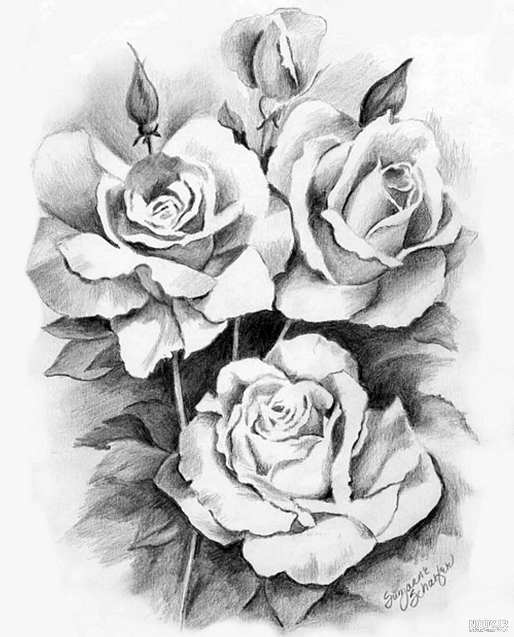 طراحی گلدان سیاه قلم طراحی گلدان سیاه قلم