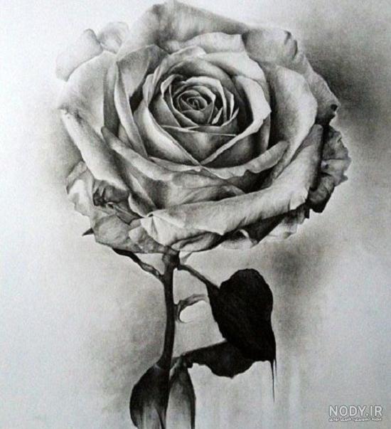 طرح گل برای نقاشی سیاه قلم طرح گل برای نقاشی سیاه قلم