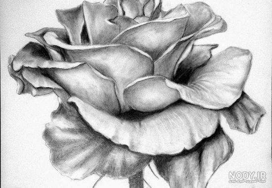 طرح گل برای نقاشی سیاه قلم طرح گل برای نقاشی سیاه قلم