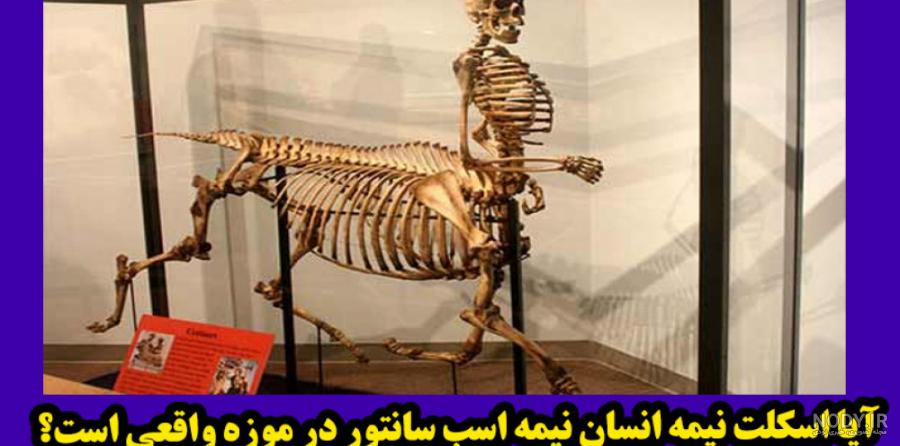 عکس اسکلت بدن انسان واقعی