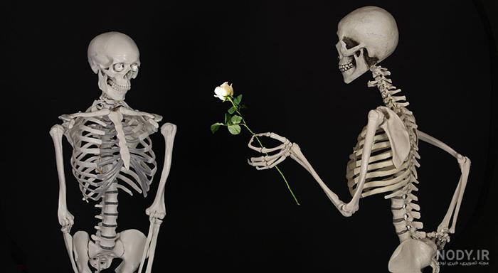 عکس اسکلت دونفره عکس اسکلت دونفره