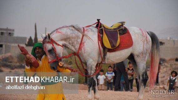 نام اسب حضرت زهرا نام اسب حضرت زهرا