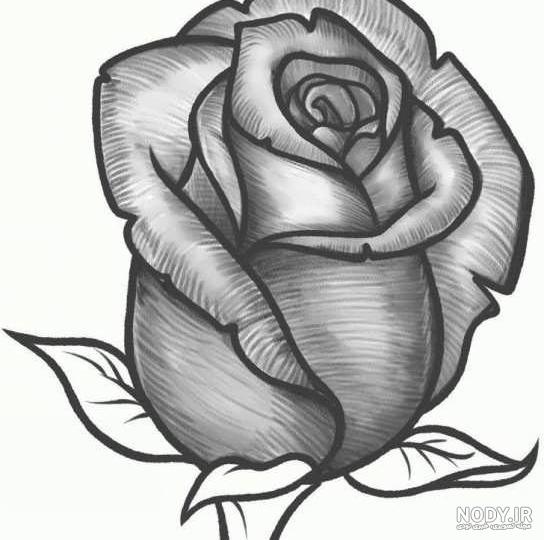 نقاشی سیاه قلم نقاشی سیاه قلم