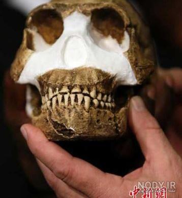 چه فرقی بین انسان های اولیه و امروزی وجود دارد