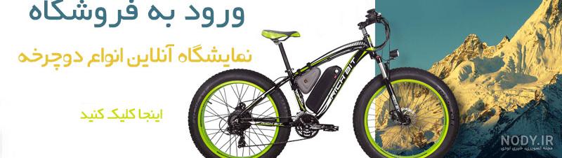 انواع لکسوس انواع لکسوس