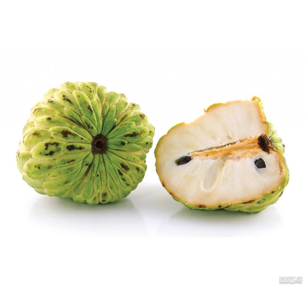 رزبری مارگاریتا