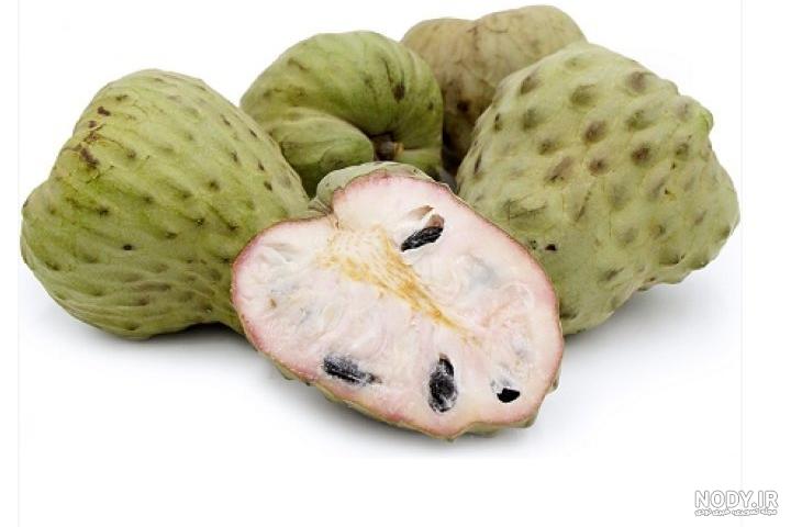 عکس میوه چیکو