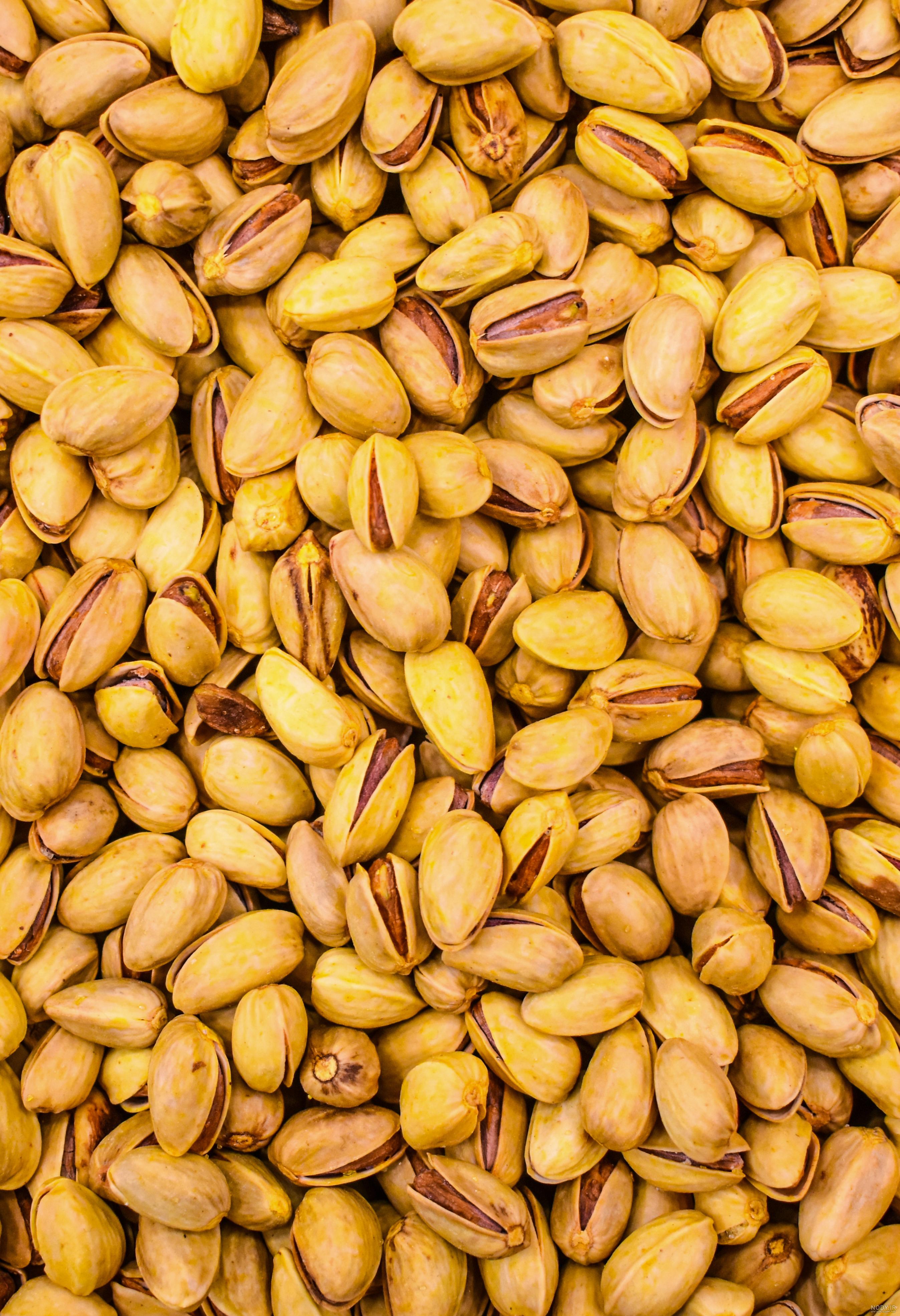 عکس چهار مغز