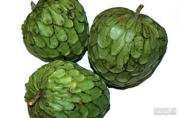 میوه چشم اژدها در ایران