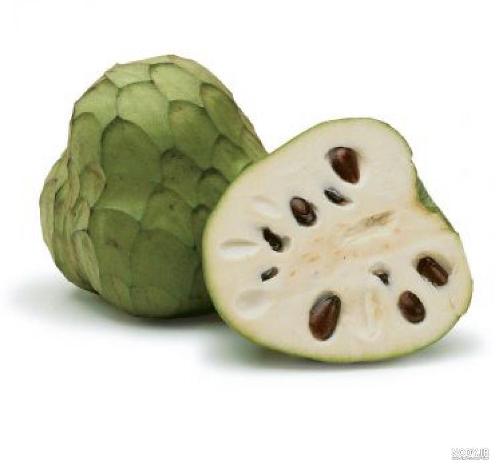 میوه چیکو