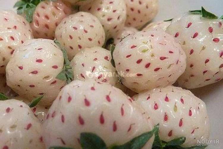 میوه چیکو