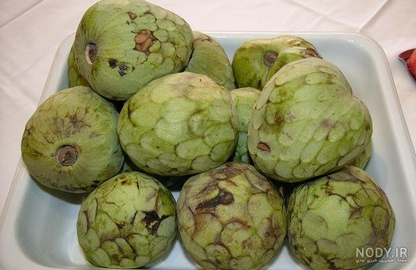 نحوه کاشت درخت چیکو