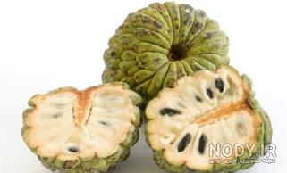 نهال چیکو