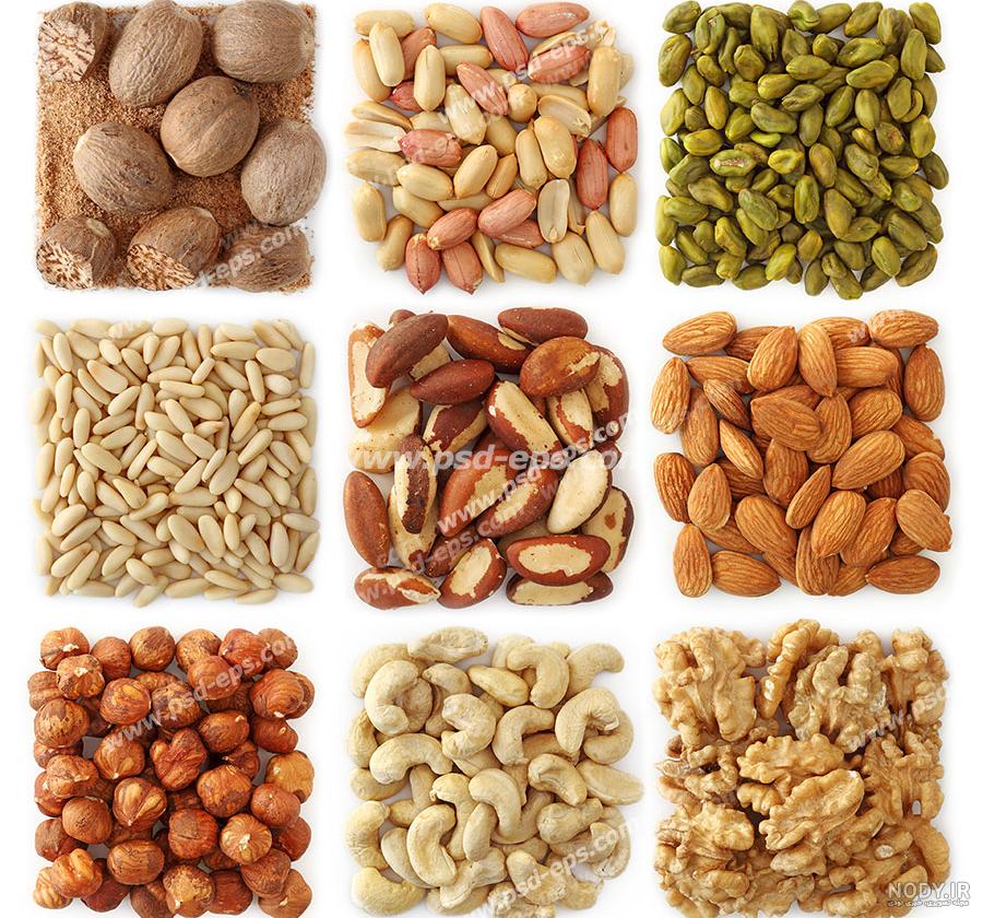 چهار مغز شامل چیست