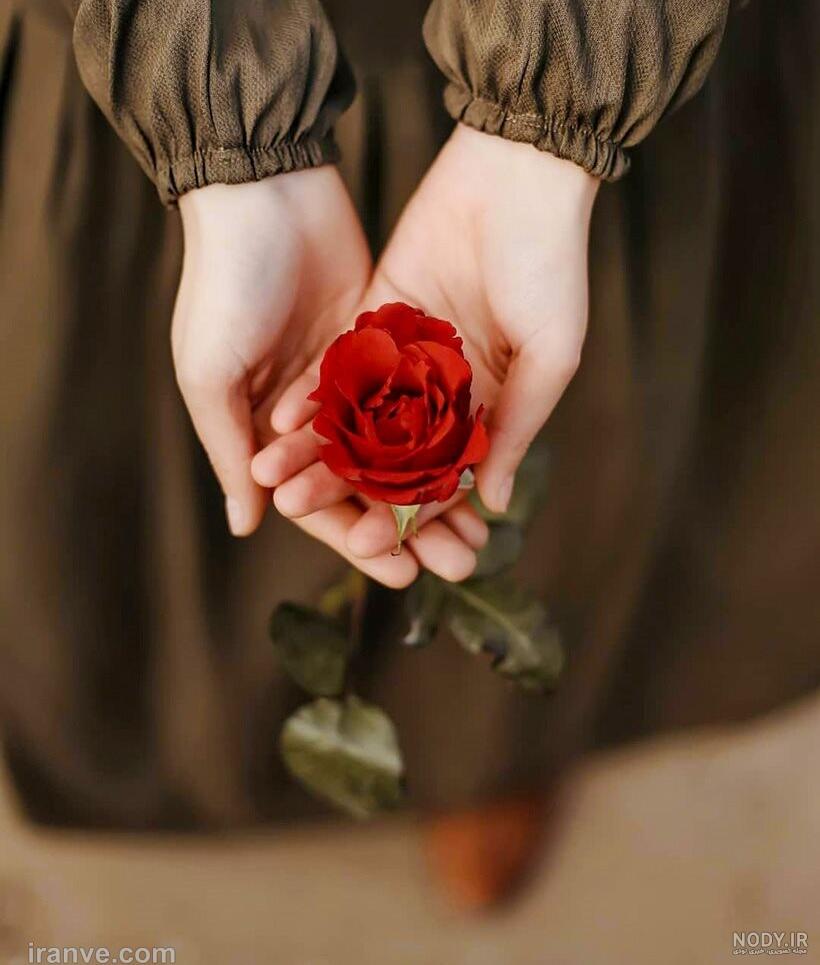 عکس خفن ژست عکس با شاخه گل