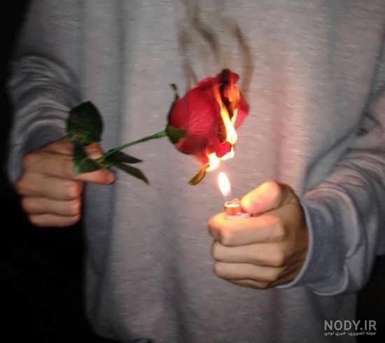 عکس خفن ژست عکس با شاخه گل