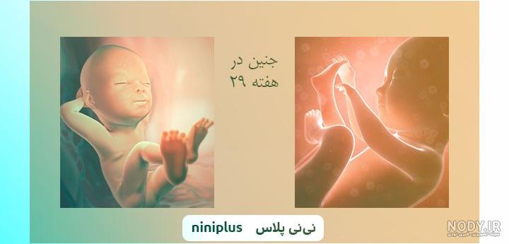 عکس بیست و نهم