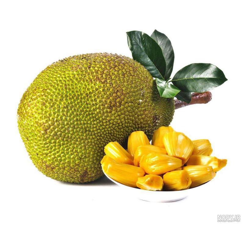 عکس میوه جک فروت