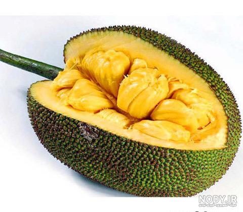 عکس میوه ی جک فروت