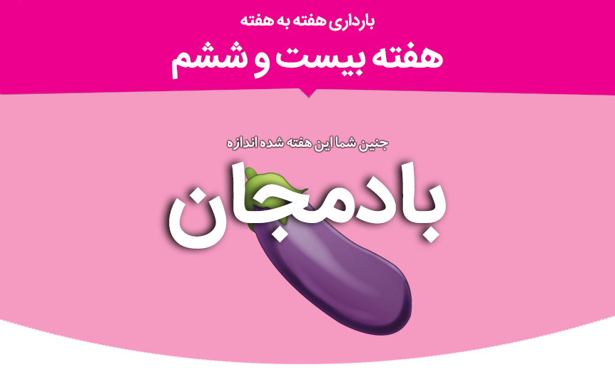 فیلم جنین بیست و سه هفته فیلم جنین بیست و سه هفته