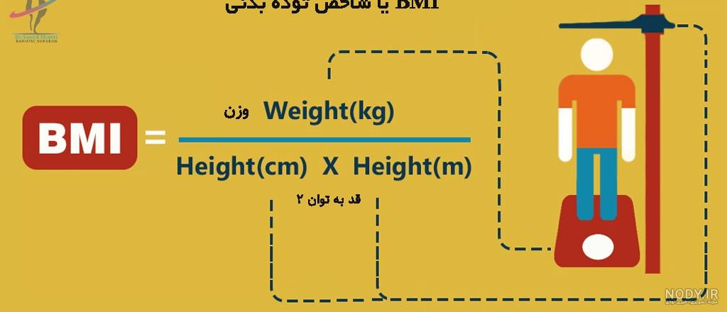 نرم افزار بی ام آی