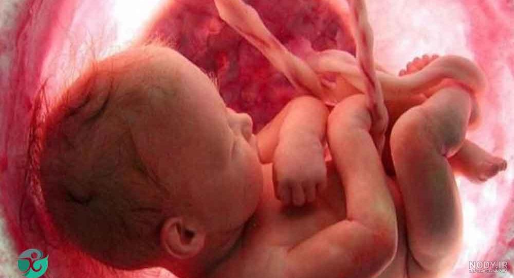 هفته 26 بارداری چی بخوریم