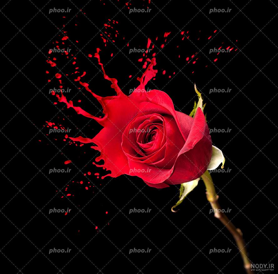 ژست با دسته گل ژست با دسته گل