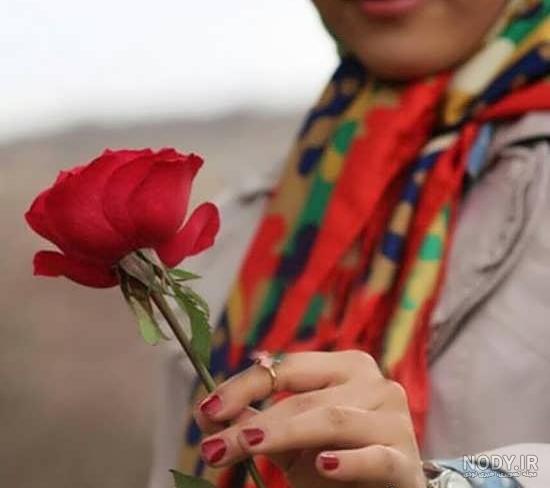 ژست عکاسی با گل رز قرمز