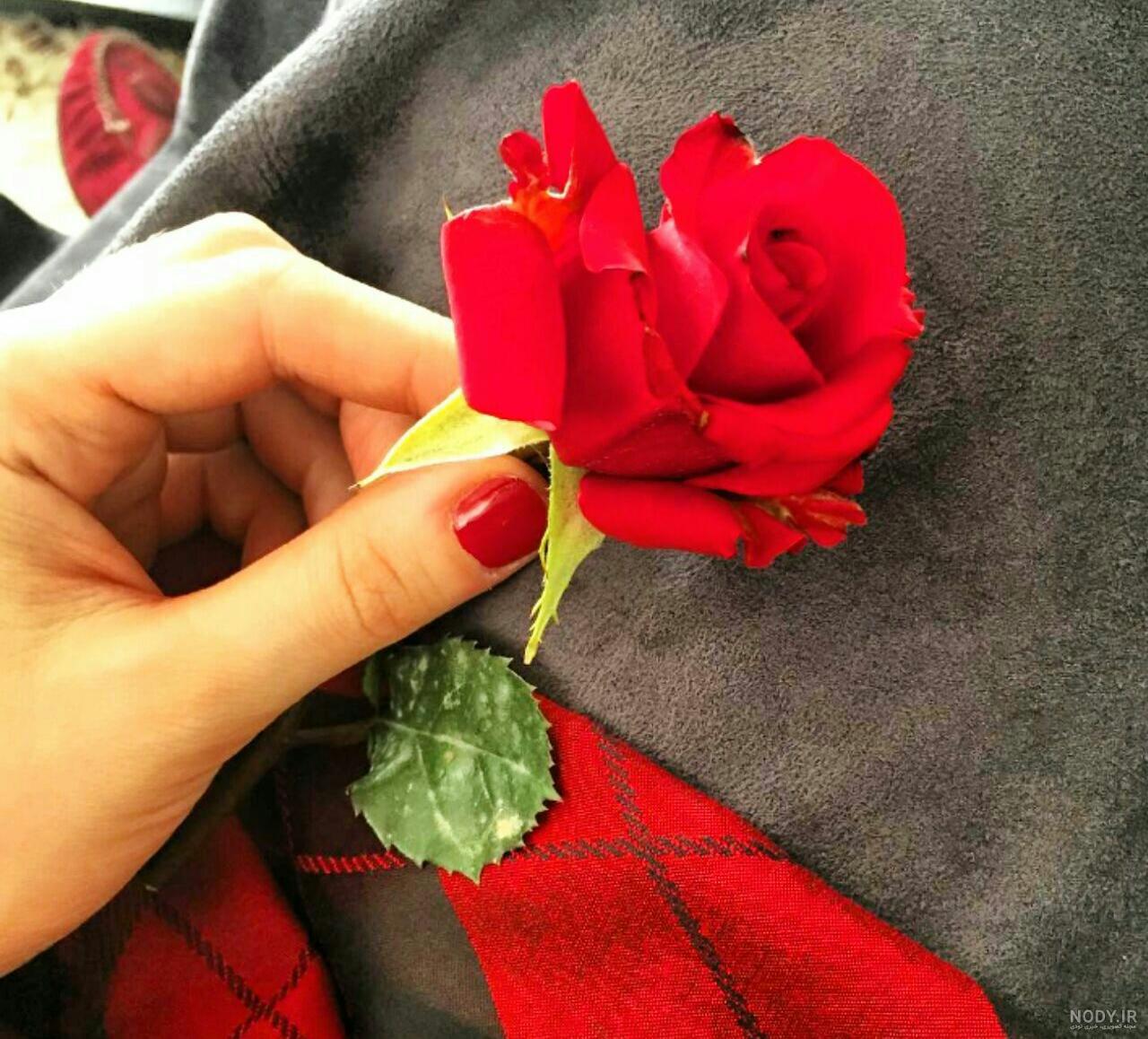 ژست عکاسی در طبیعت ژست عکاسی در طبیعت