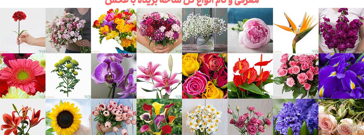 ژست عکس با شاخه گل ژست عکس با شاخه گل