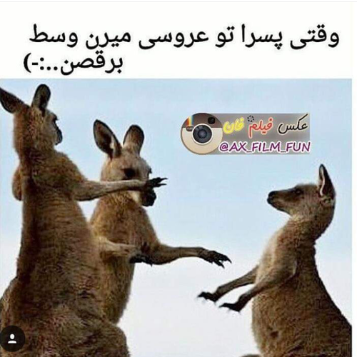 جملات ضد مرد