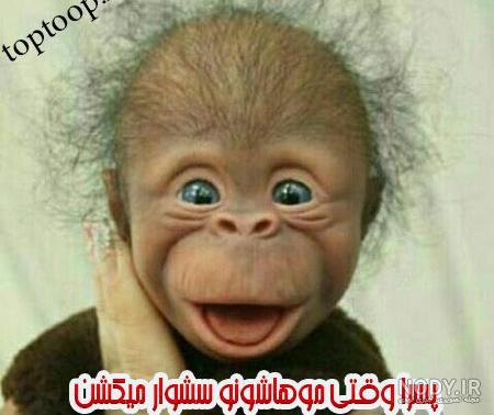 جوک ضد پسر جوک ضد پسر