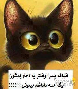 ضد پسر اینستا