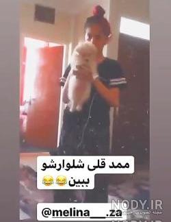 عکس خانواده ی ممد قلی عکس خانواده ی ممد قلی