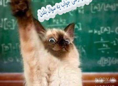 عکس ضد پسر جدید عکس ضد پسر جدید